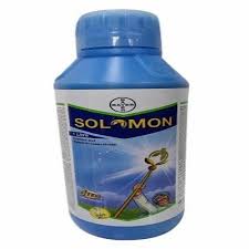 Bayer solomon 